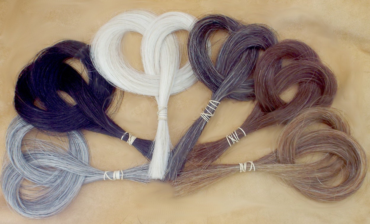 Bulk Horsehair Natural Horse Hair Real Horse Hair Horsehair - Etsy Bulk Horsehair Natural Horse Hair Real Horse Hair Horsehair - Etsy