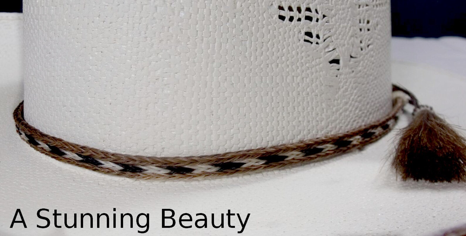 Horsehair Hat Band main image 1