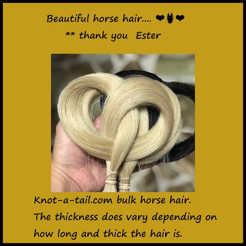 Bulk Horsehair Natural Horse Hair Real Horse Hair Horsehair Etsy