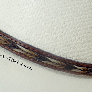 May include: A close-up of a brown leather hat band with a braided horsehair design. The band is on a white hat. The text "Knot-a-Tail.com" is visible on the hat.