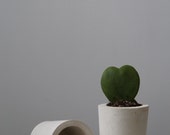 Concrete Pot / Planter / Vase, beautiful premium concrete perfect for succulents or as a desk tidy.