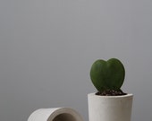 Pot en béton / planteur / Vase, béton de belle prime parfaite pour les plantes succulentes ou comme un porte-crayons.
