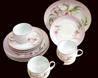 Servizio da tè vintage in porcellana dipinta a mano con motivo floreale rosa Z S & Co Bavaria.