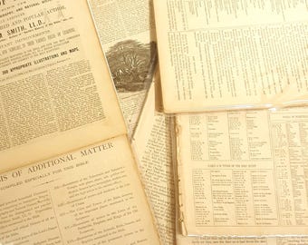 Vintage 1879 Bible Pages 20 Page Paper Packs for Junk Journaling, Scrapbooking, Collaging