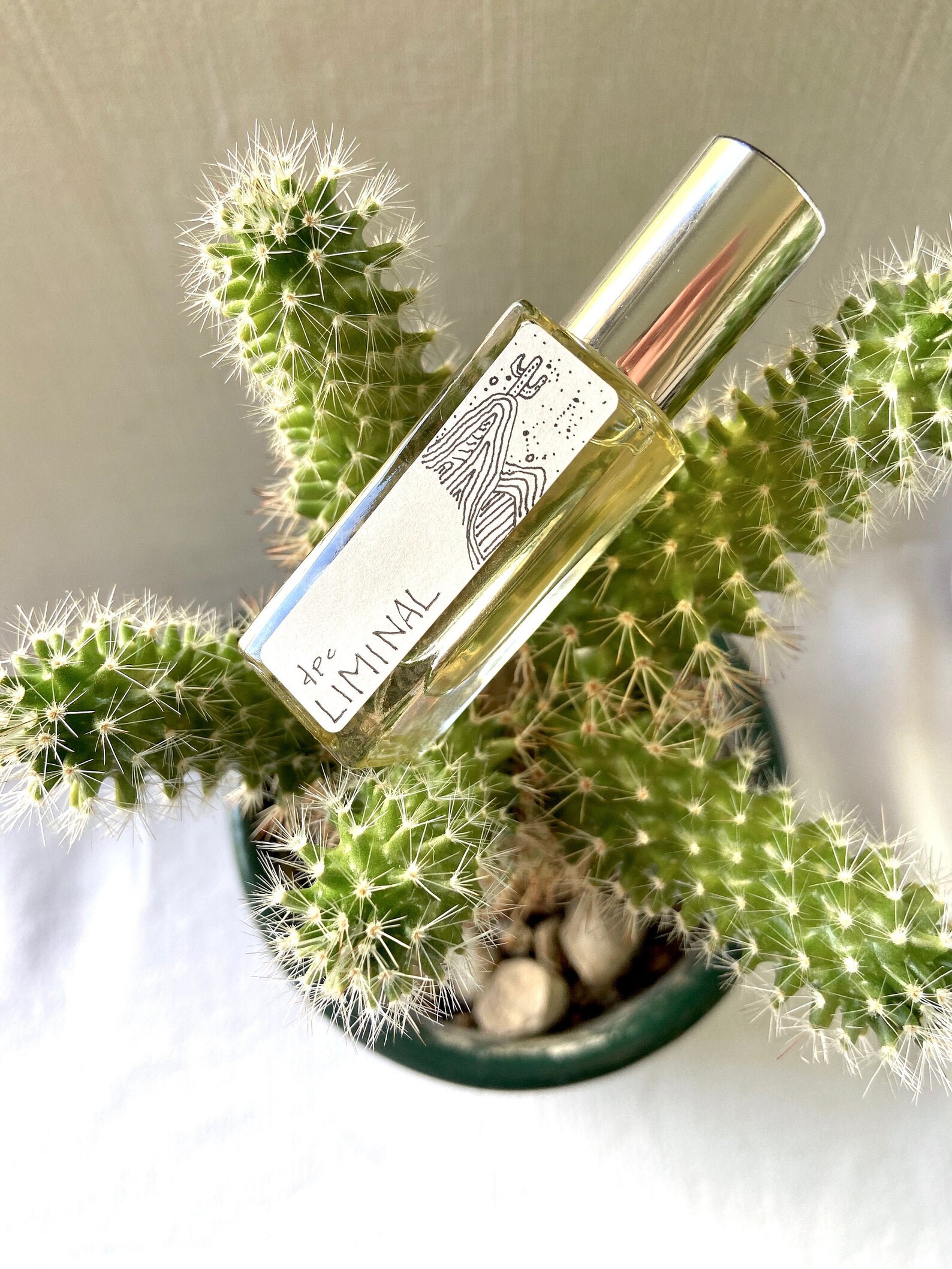 Liminalnatural herbal perfume medicinal fragrance desert Etsy