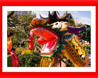 DRAGON, digital download photography, CHINESE DRAGON, lucky dragons, lantern festival, China photo, wall art photograph, dragon parade photo