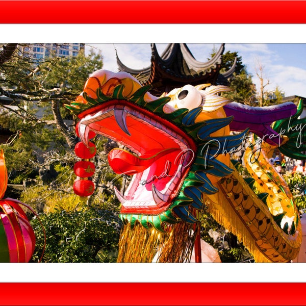 DRAGON, digital download photography, CHINESE DRAGON, lucky dragons, lantern festival, China photo, wall art photograph, dragon parade photo