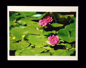 PHOTO GREETING CARD, nature photography, blank card, photo note card, birthday card, special occasion note card, Japanese Decor, , lily pad