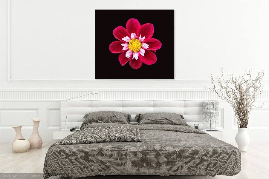 Pink Flower Digital Flower Download Flower Photo 4 X 6 5 X - Etsy