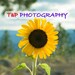 photography t and p turtlesandpeace photos