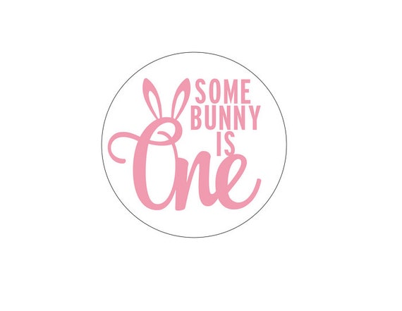 Some Bunny Is One Stickers, Some Bunny Is One Labels, Some Bunny Is One, Bunny Stickers, Bunny Labels, Set of 12 Il_570xn