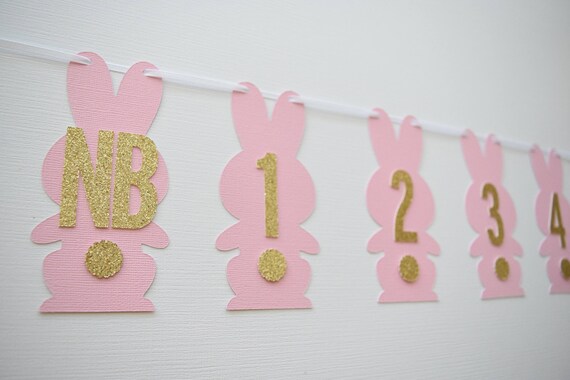 Bunny Photo Banner, Bunny Theme Banner, Bunny Party Decor, Bunny Birthday Banner, 1st Birthday Decor, Bunny 1st Birthday Il_570xn
