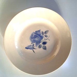 Large French Digoin Sarreguemines Ironstone serving dish platter fruit bowl country cottage décor classic flower pattern quality collectors