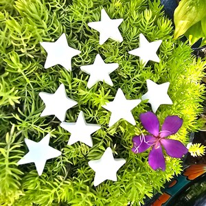 Ten Mini Star Tiles 1.3&quot; IN STOCK Ceramic Bisque Ready To Paint Pottery