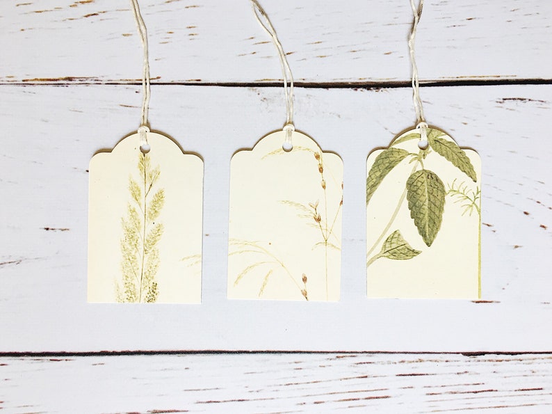 Botanical Gift Tags Floral Gift Tags Vintage Fern Tag Etsy