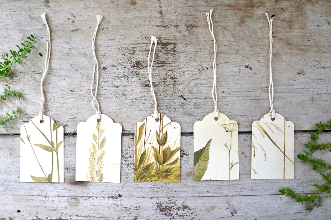 Botanical Gift Tags Floral Gift Tags Vintage Fern Tag Etsy