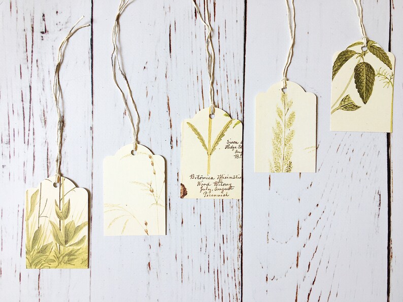 Botanical Gift Tags Floral Gift Tags Vintage Fern Tag Etsy