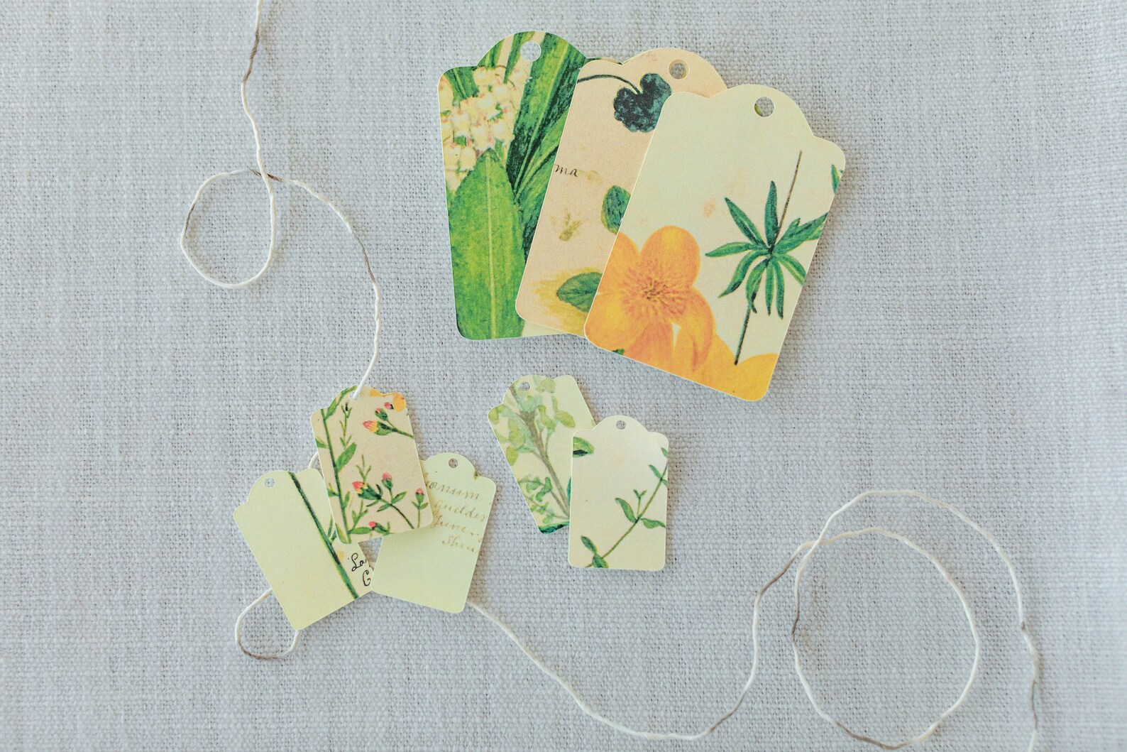 Botanical Gift Tags Floral Gift Tags Vintage Fern Tag Etsy