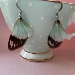 Cicada Wing Earrings (Tosena Splendida)