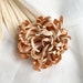 see more listings in the Hair Accessories section