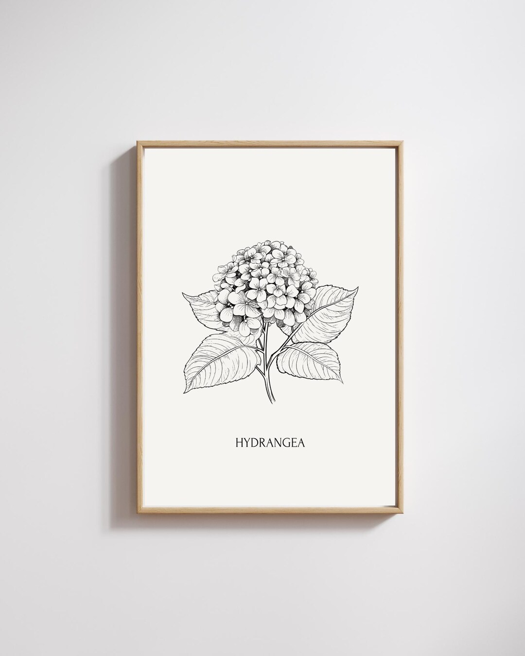 Hydrangea Botanical Wall Art Print – Vintage Floral Illustration ...