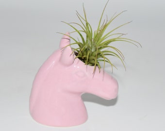 Live Air Plant w/ Unicorn Planter -Purify Air, Crystal Office plant, desk decor, Blessings, Live house plants, ,