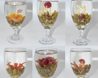 Blooming Tea Ball Set #2- 6 pc - Mixed varieties- Blooming tea, Flower blooming tea, Flower Tea, Fancy tea, Special occasion ,