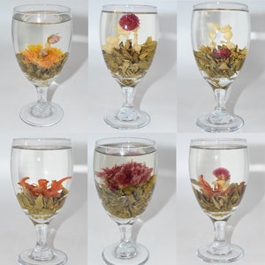 Blooming Tea Ball Set #2- 6 pc - Mixed varieties- Blooming tea, Flower blooming tea, Flower Tea, Fancy tea, Special occasion ,