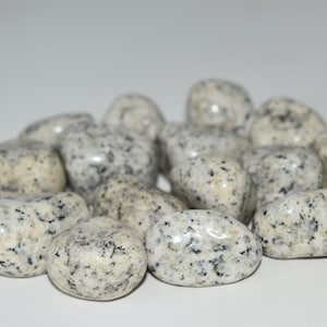 Dalmatian Jasper Crystal Tumbled - Rock Collection, Gemstones, Decor, Crafting, Crystals, Stones