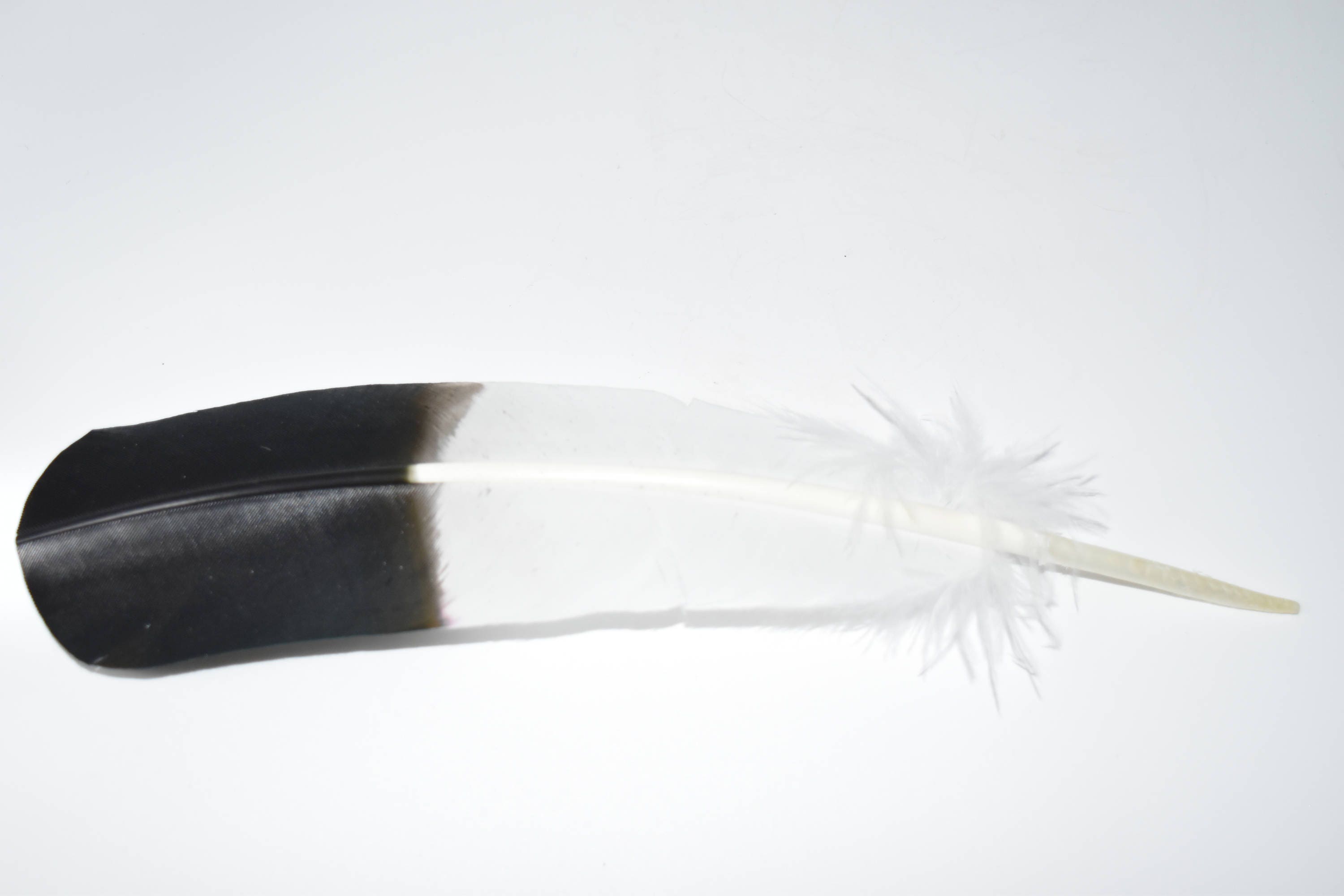 Custom Order Sidedrop Plumes. Powwow Regalia Native American Hair Piece.  Jingle Traditional Dancer Jewelry Imitation Eagle Feather Fluffs 