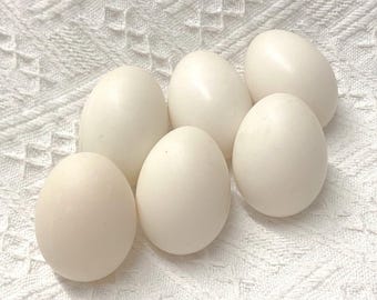 Fresh Duck Eggs 6 pack