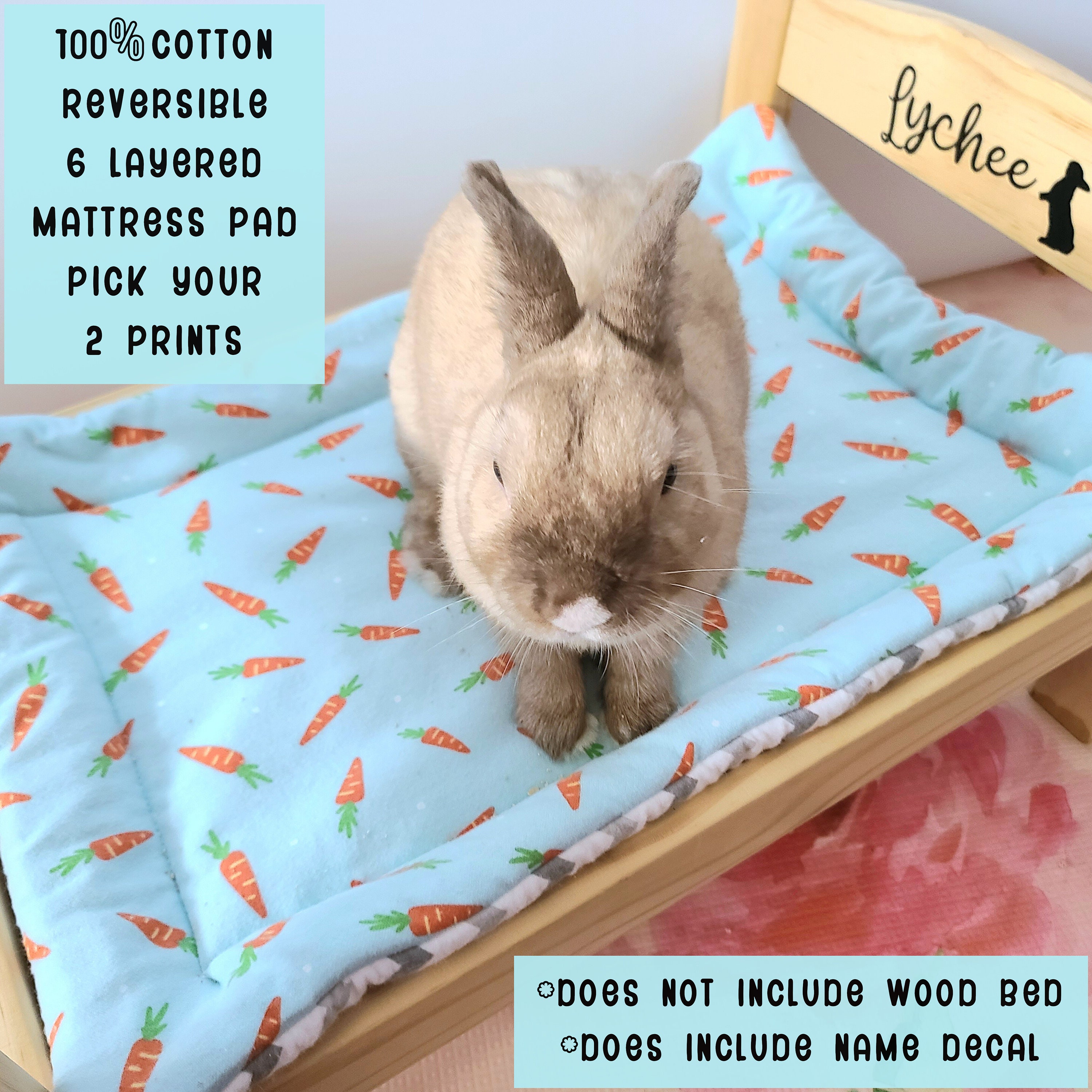 Vintage Bunny Rabbit W Old Rusty Bed Spring, Sisel Bunny 13.5 X 5