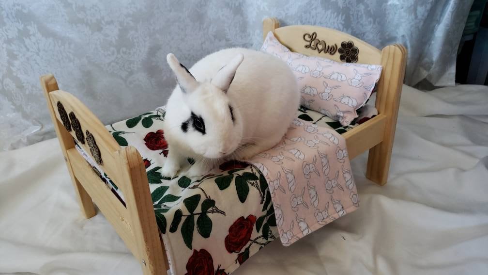 Reversible Bunny Bed Pad, Blanket and Pillow for the IKEA doll bed Roses & Buns FREE SHIPPING