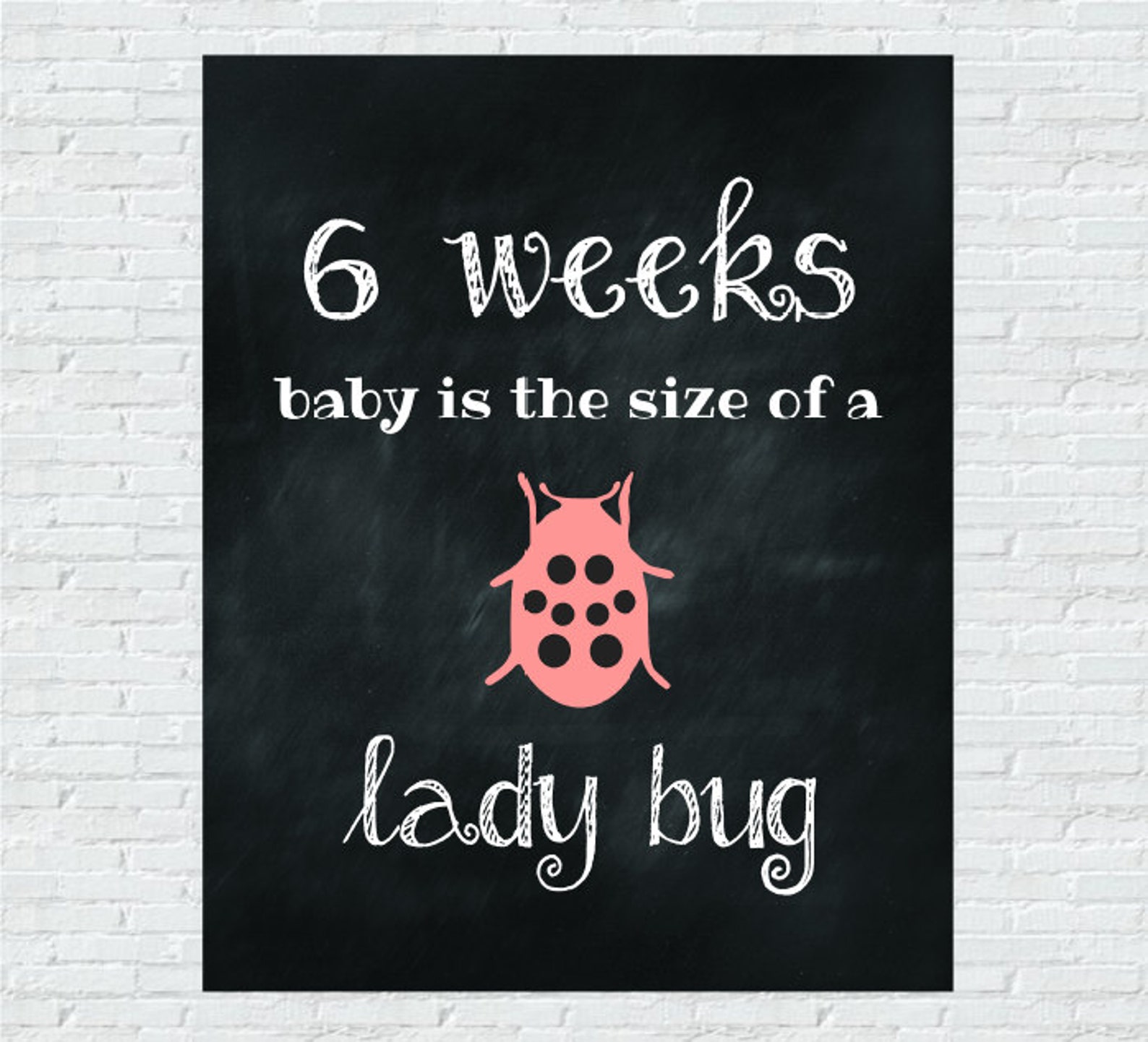 Weekly Pregnancy Signs, Baby Size Compared to ANIMALS, Weeks 6-41 ...