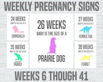 Weekly Pregnancy Signs, Baby Size Compared to Animals, Weeks 6-41, INSTANT  DOWNLOAD Printable 8x10 Signs, Maternity, Pregnancy Countdown 