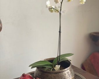 Vintage Handcrafted Brass Planter Pot: Home Decor Vessel