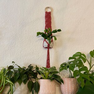 Puede incluir: Un macramé para colgar plantas de color rosa con un anillo de madera en la parte superior. Una pequeña planta en maceta cuelga del macramé. Hay tres plantas en maceta sobre una mesa debajo del macramé.