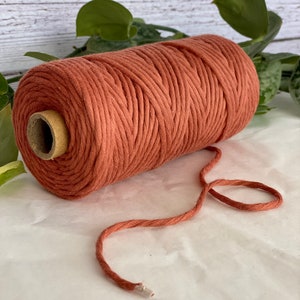 3mm Single Twisted Macrame Cord 100m - 100% Cotone 14 Colori corda di cotone intrecciato, corda macrame 3mm, forniture macrame, arancia, zucca spezia