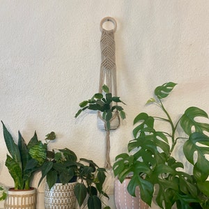 Puede incluir: Un macetero de macramé con un anillo de madera en la parte superior, que sostiene una pequeña planta en maceta. El macetero está hecho de cuerda de algodón beige natural y está colgado en una pared blanca. Hay tres plantas en maceta en la imagen, todas con hojas verdes.