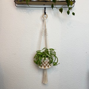 Peut inclure: Un porte-plante en macramé blanc avec un anneau en bois en haut, tenant une petite plante en pot avec des feuilles vertes. Le porte-plante est suspendu à une étagère en métal noir.