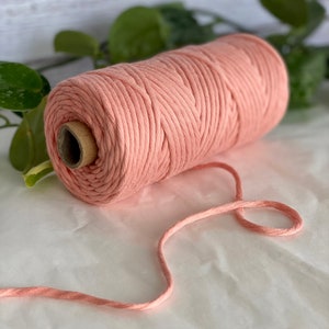 Può includere: Un rotolo di corda di cotone rosa morbida, perfetto per progetti di artigianato. La corda è avvolta attorno a un tubo di cartone e un pezzo di corda è esteso lateralmente.