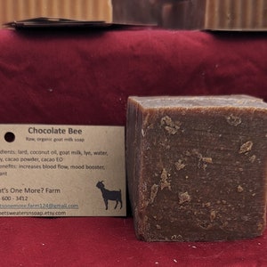Chocolate Bee
