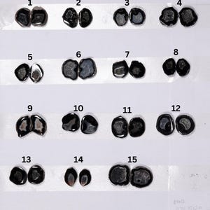 May include: A collection of fifteen pairs of polished agate stones, each with unique patterns and colors, ranging from black and gray to white and brown. The stones are displayed on a white surface, with the text "Lack SIZE 15x20" visible.