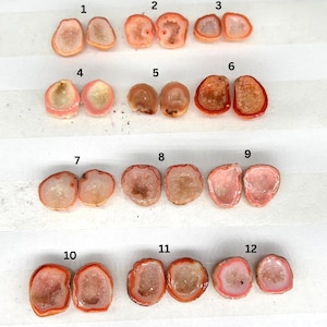 Puede incluir: Doce pares de rodajas de ágata, cada par numerado del 1 al 12. Las rodajas de ágata son rosadas y blancas con un borde rojo. Las rodajas están dispuestas en filas de dos.
