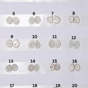 May include: A collection of twenty pairs of polished, irregularly shaped agate stones, each with a unique pattern and color variation. The stones are arranged in rows and columns on a light-colored surface, showcasing their natural beauty.