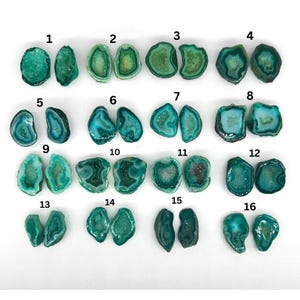 May include: Assortment of 16 green agate slices, each with a unique pattern and shape. The slices are arranged in four rows of four, numbered 1 through 16.