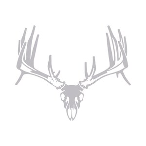 Whitetail Skull Hunting Decal HI-57
