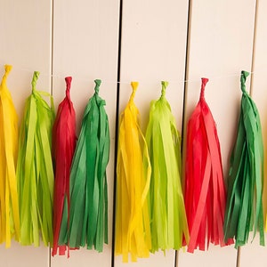 Fiesta Tassel Banner: Cinco de Mayo Party Decor