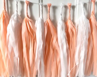 Peach Tassel Garland, Sweet Georgia Peach Party Theme, Peach Birthday Decor, Peach Baby Shower, First Birthday, Backdrop, Engagement Party