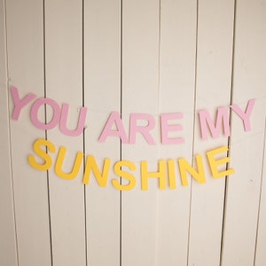 You are my sunshine birthday banner, little sunshine, sunshine banner, first trip around the sun, 1st sun birthday, Cake smash banner
